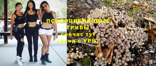прущий лед Дмитровск