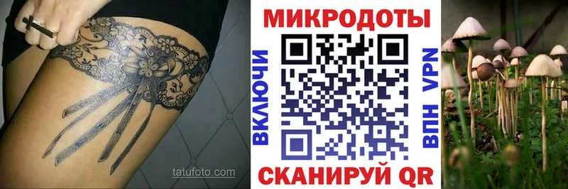 Купить  Павлово  Галлюциногенные грибы мухоморы 