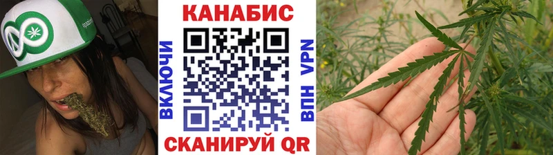 Конопля план  Купить  Павлово 